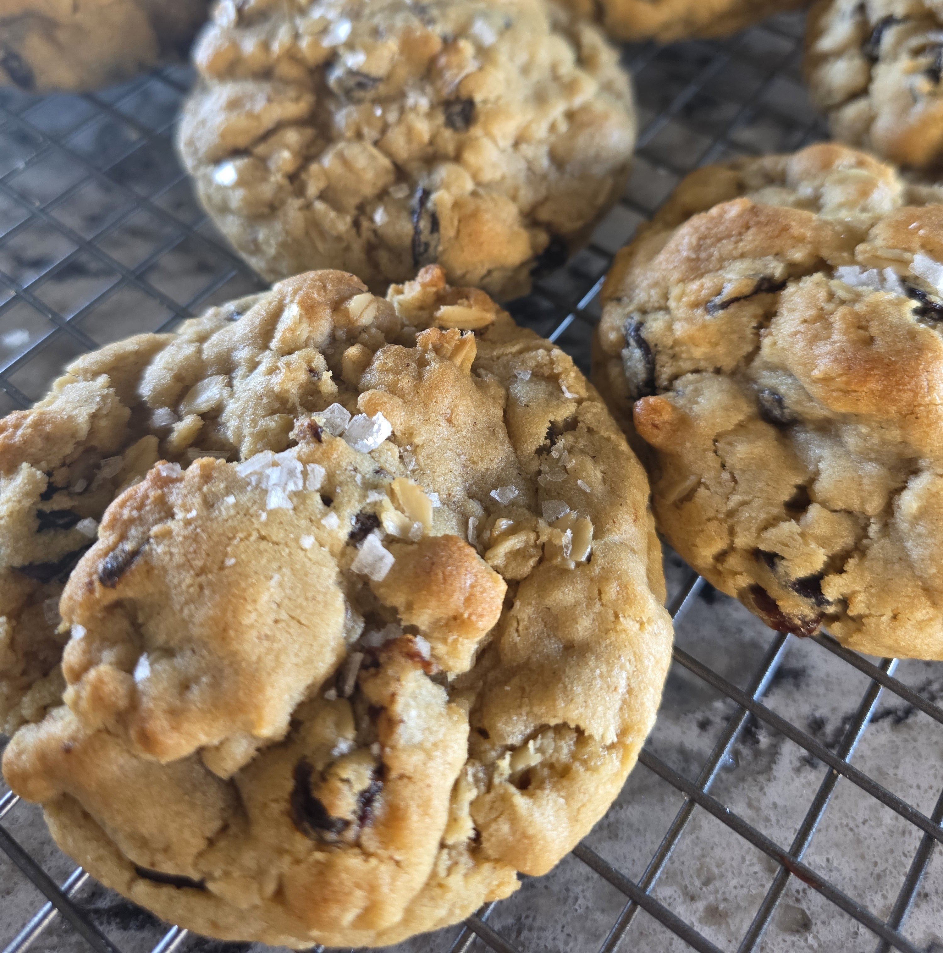 Old School 1 - Oatmeal Raisin