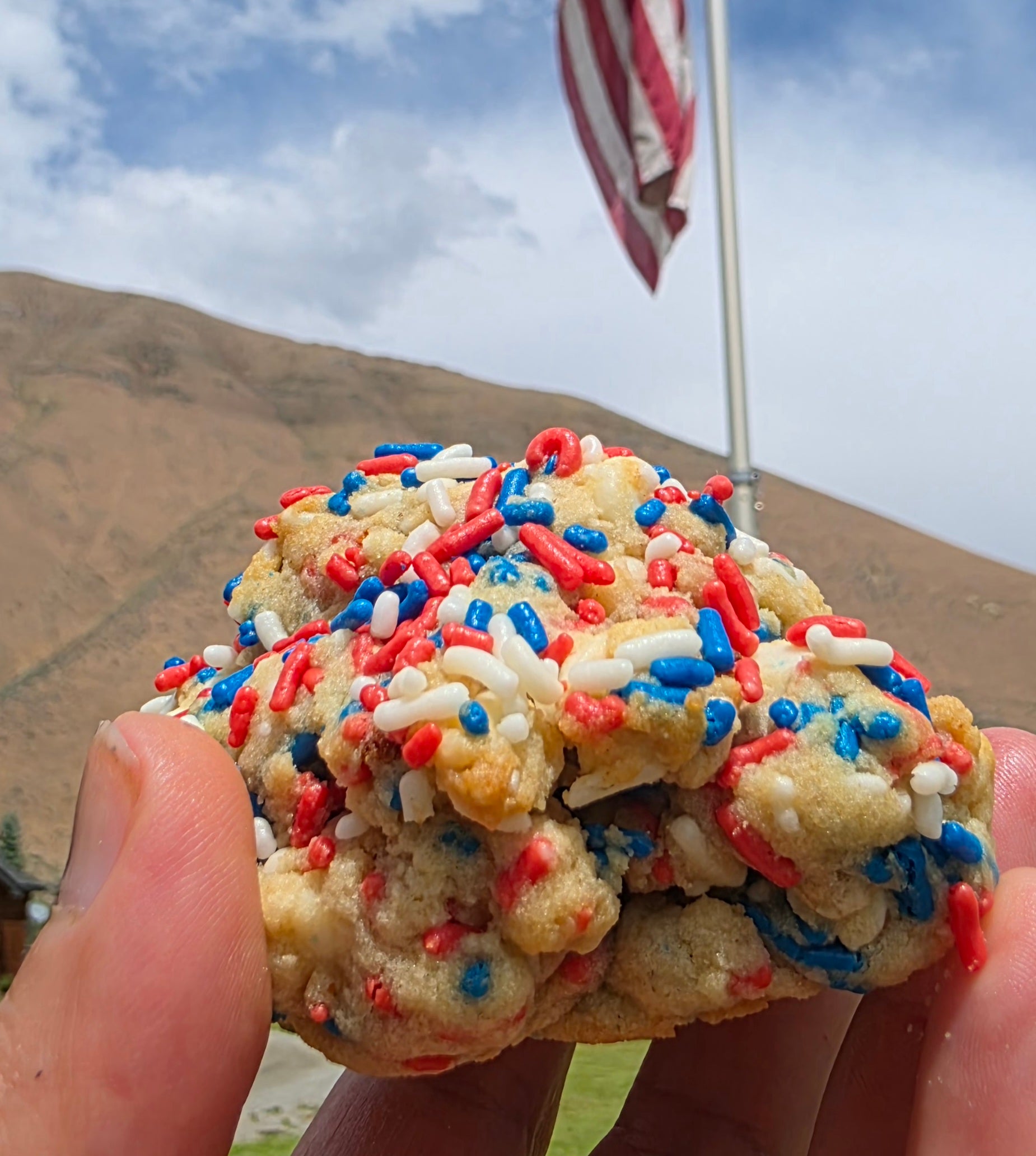 Chef's Whim - USA Sprinkle Cookie